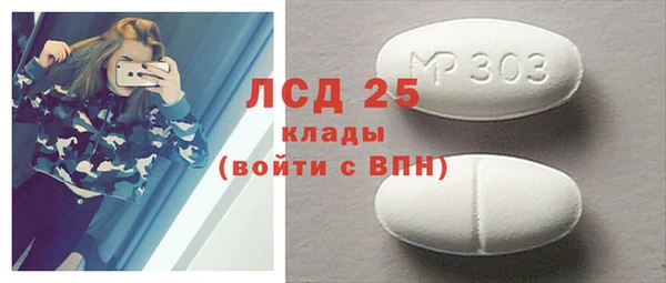 крисы Алзамай