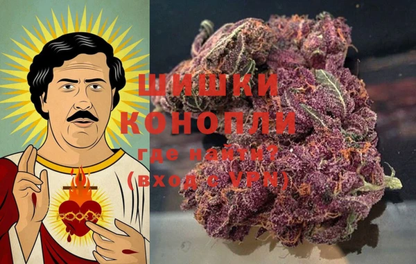 ГАЛЛЮЦИНОГЕННЫЕ ГРИБЫ Алексин