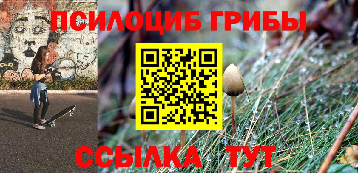 Псилоцибиновые грибы Psilocybine cubensis  Вход с VPN  Гурьевск  Галлюциногенные грибы MAGIC MUSHROOMS 